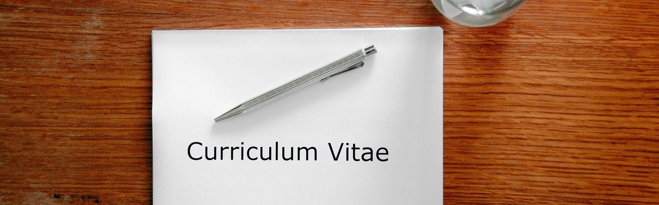 curriculum vitae freelance